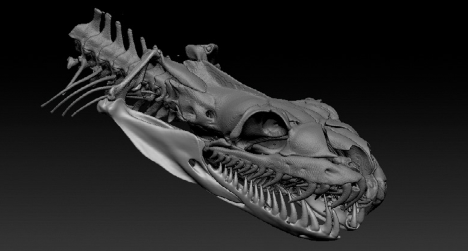 Du bist, was du frisst