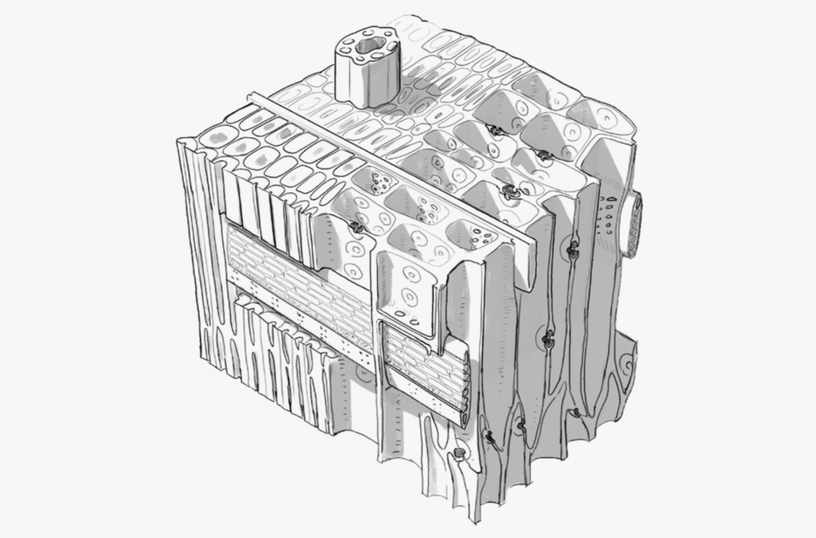 Die Visualisierung beginnt als Skizze.