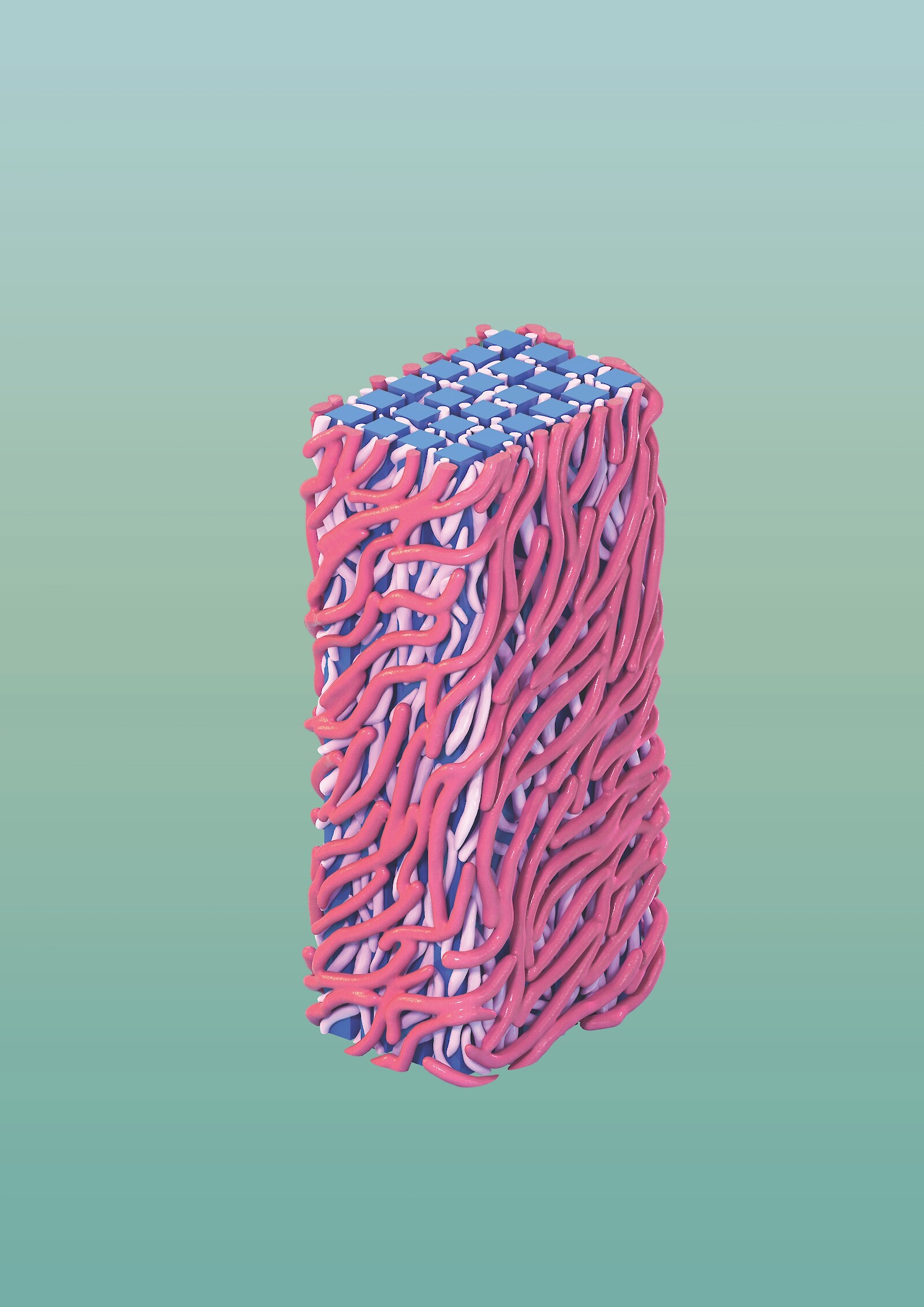 Holzfasern und Jahresringe