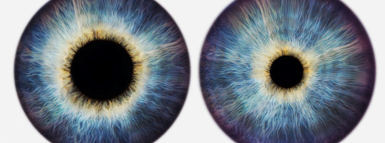 Mit virtuellem Klima-Fiebermesser an der Scientifica