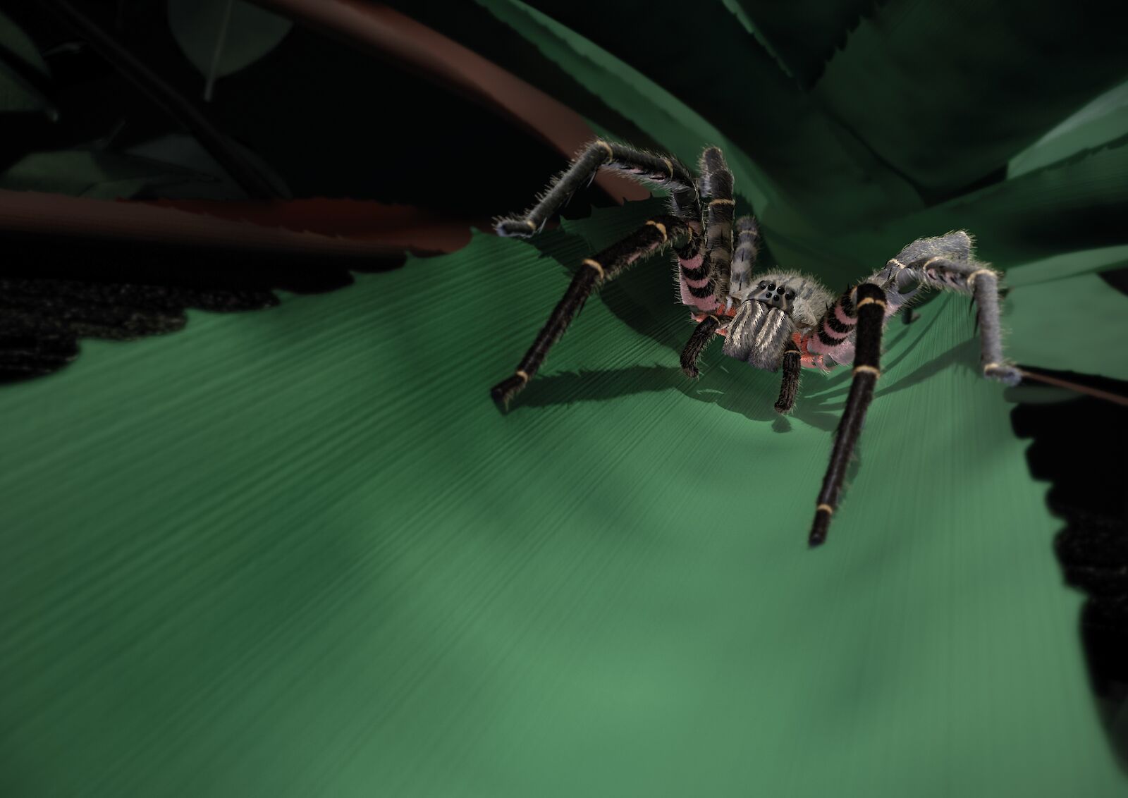 Ein immersiver 360°-Film ermöglicht Betrachtenden, in die Welt der Spinne einzutauchen und diese mit ihren eigenen Sinnen zu erleben. «Mit den Sinnen einer Spinne» Barbara Schuller, 2022