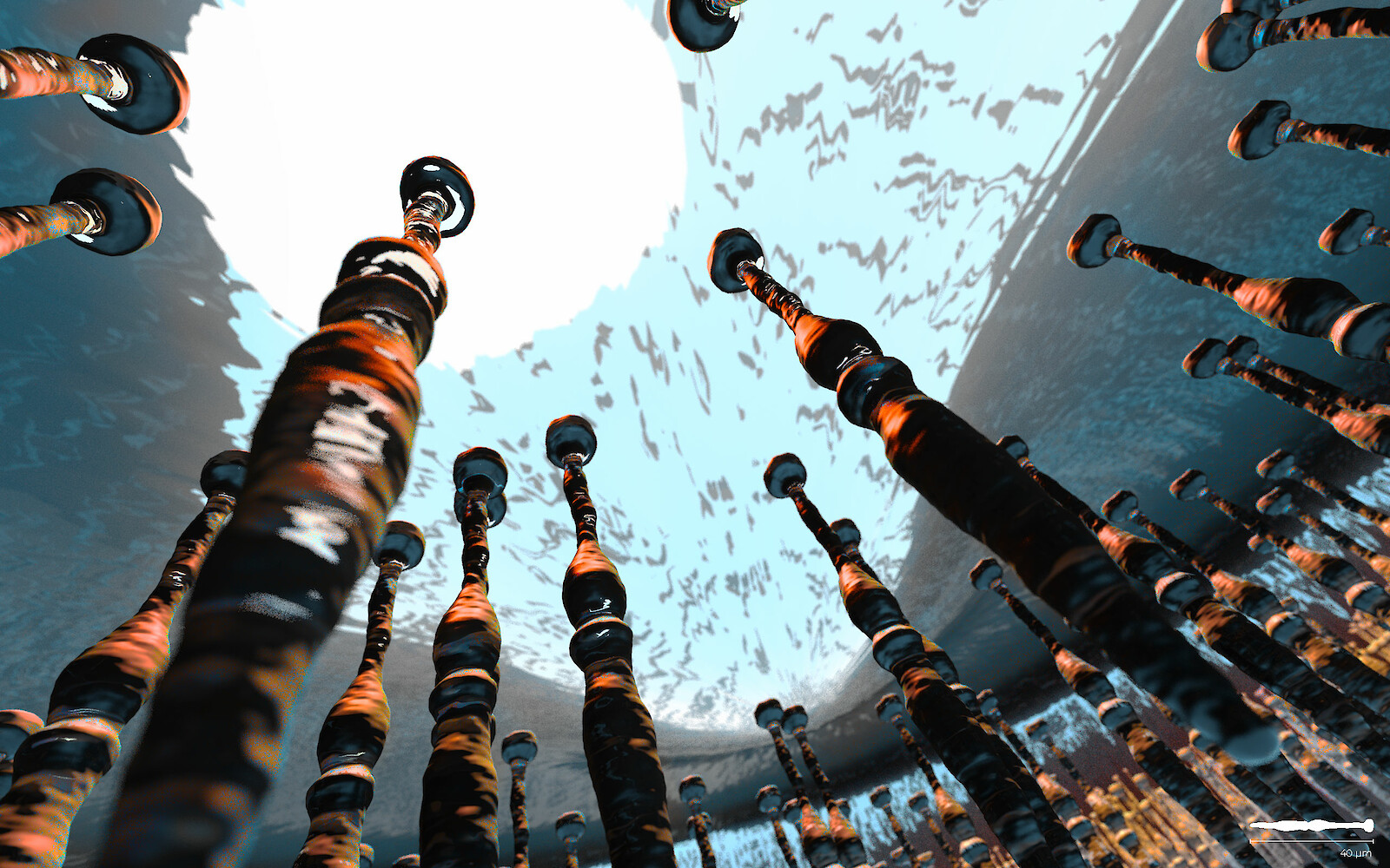 Retina: Photorezeptorzellen in der Foveola. 3D-Rendering aus Cinema 4D. Michelle Weber, 2021