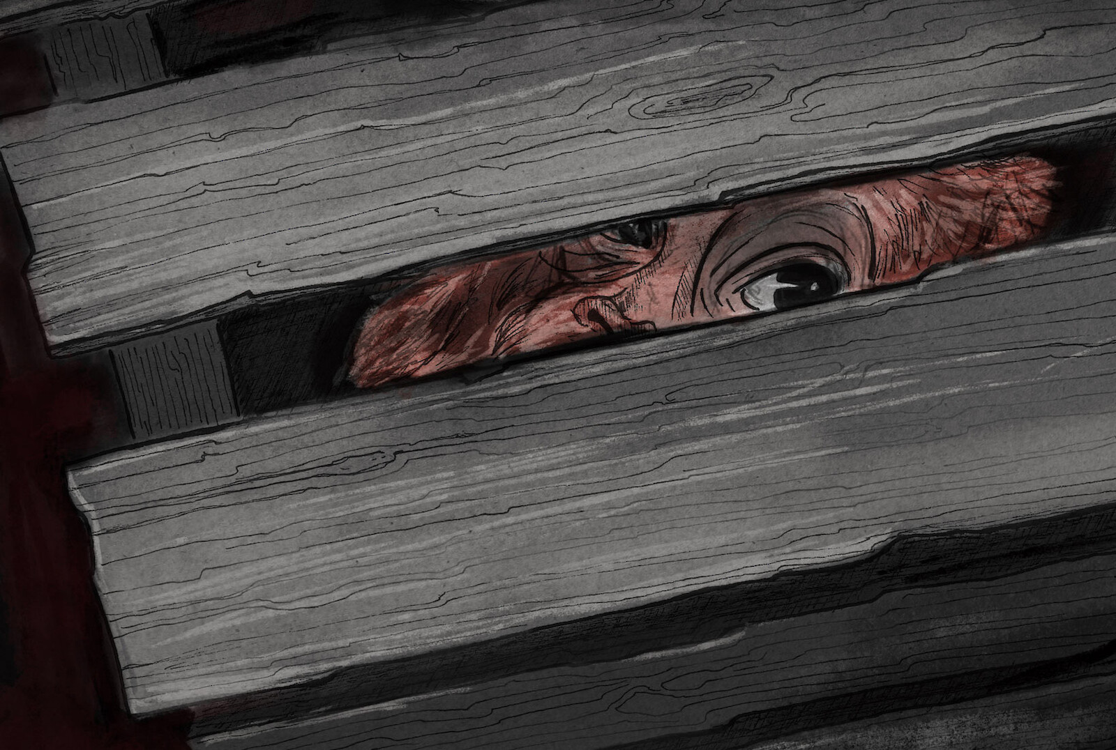 Verwaiste Orang-Utans