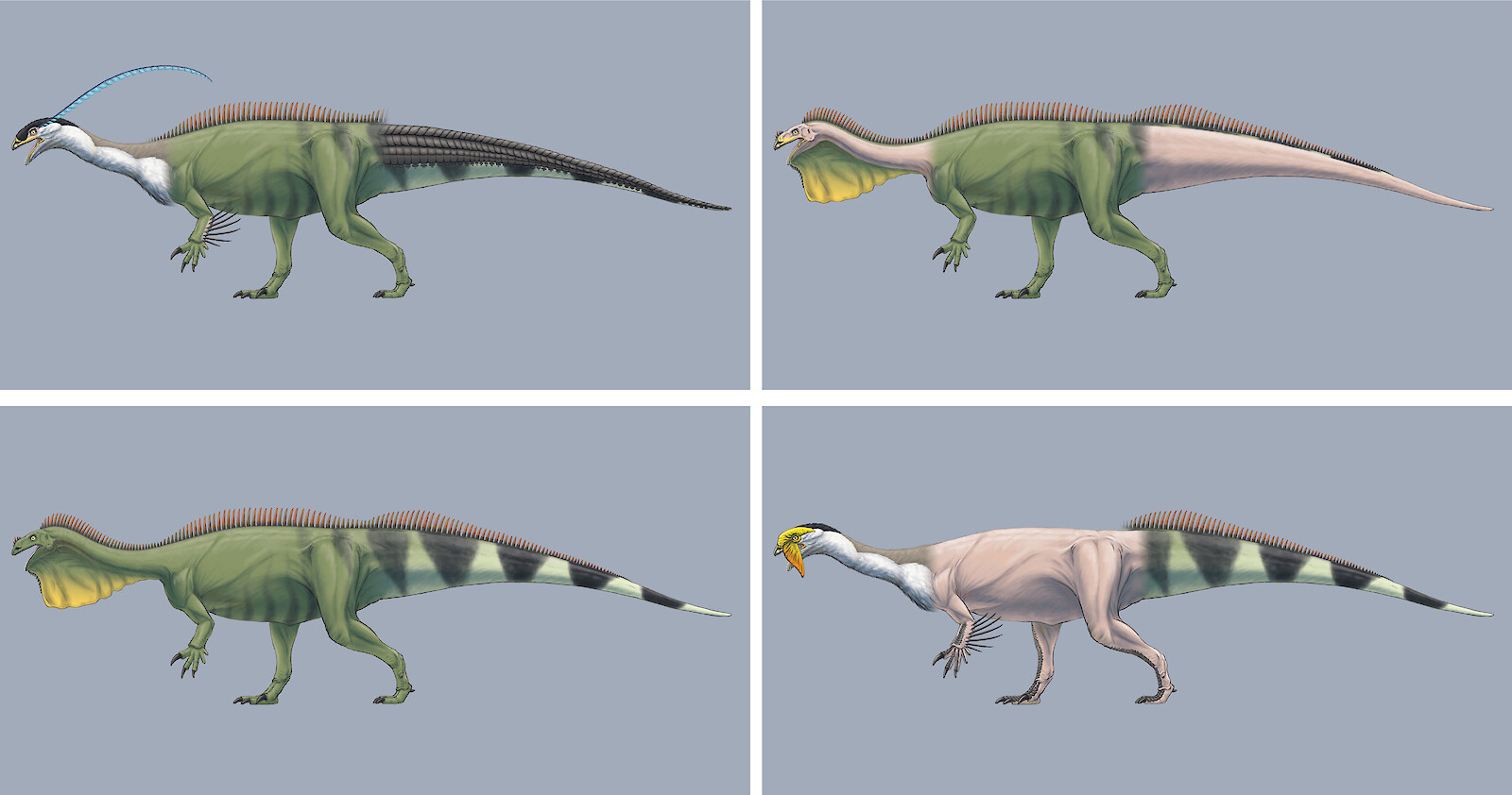 Eine kleine Auswahl an möglichen Kombinationen, die mit dem Baukasten erstellt werden können.