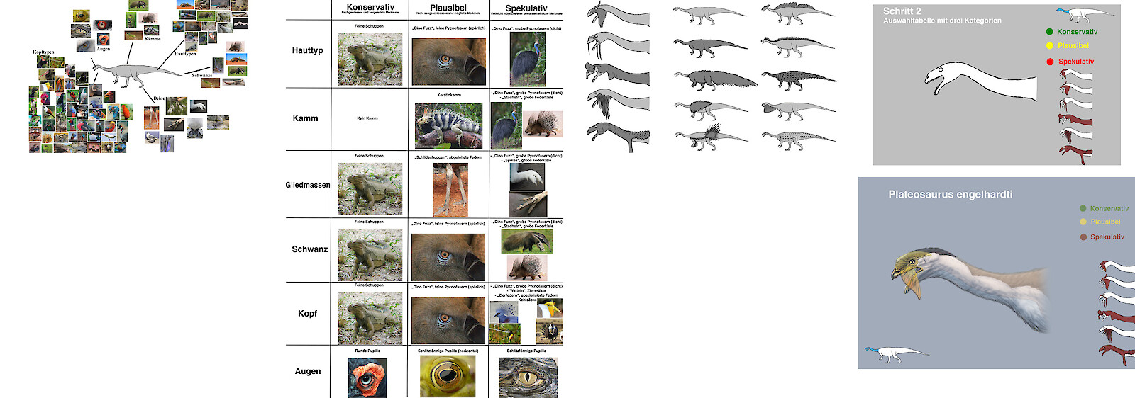 Konzept und Kategorienbildung