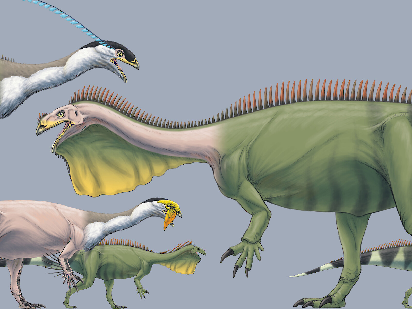 Schillernde Federn, knorrige Schuppen