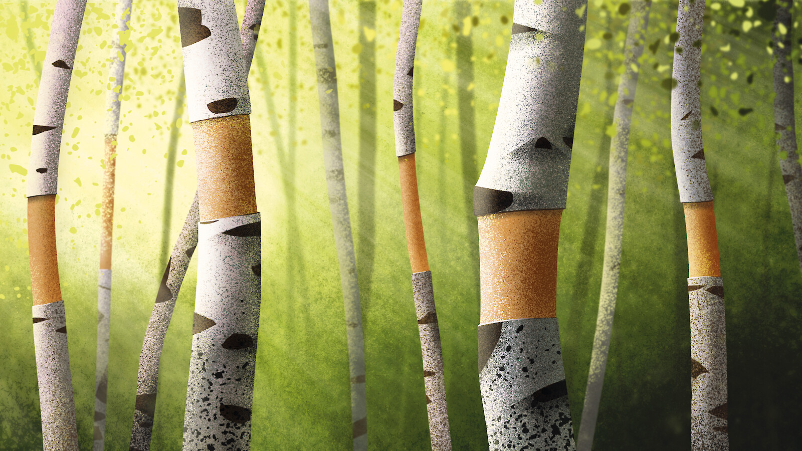 Visualisierung des Birkenwaldes.