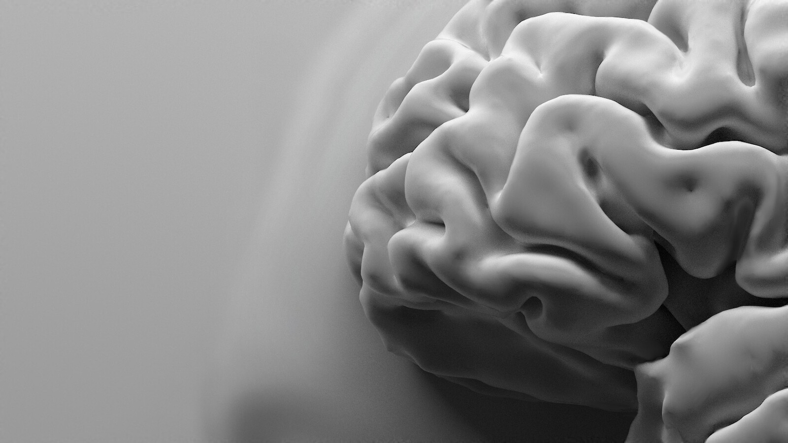 Visualisierung des menschlichen Gehirns (Detail).