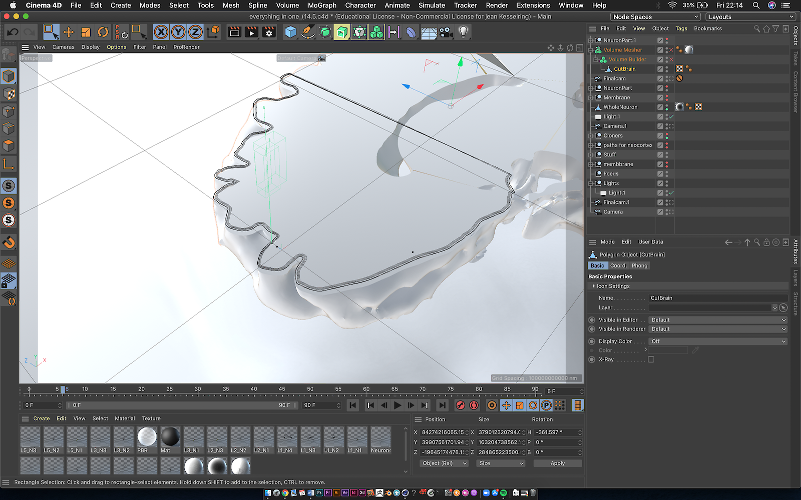 Prozessbild der Rekonstruktion eines Neurons mit NeuroMorphoVis.