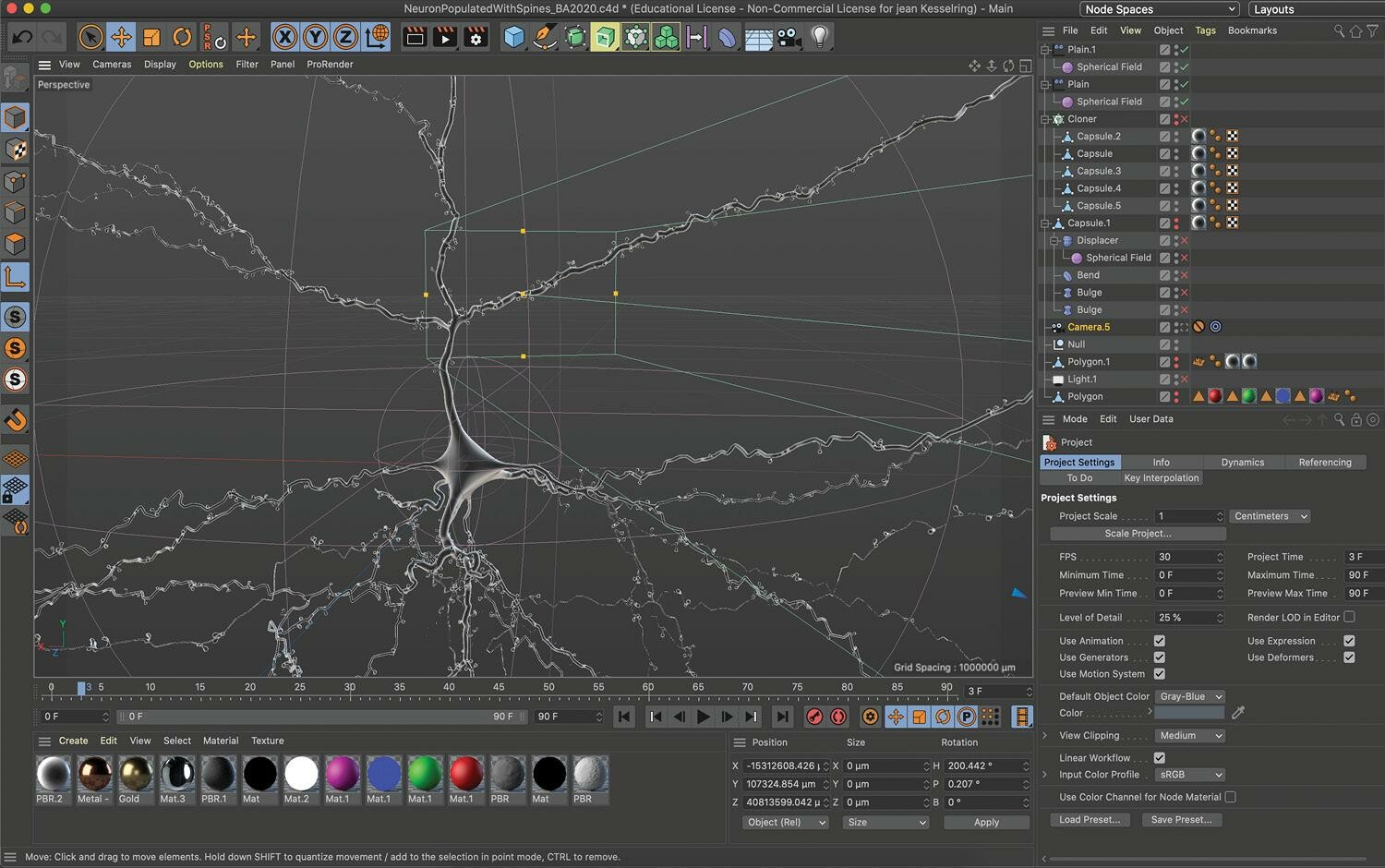 Der Screenshot zeigt ein Neuron mit Dornenfortsätzen.