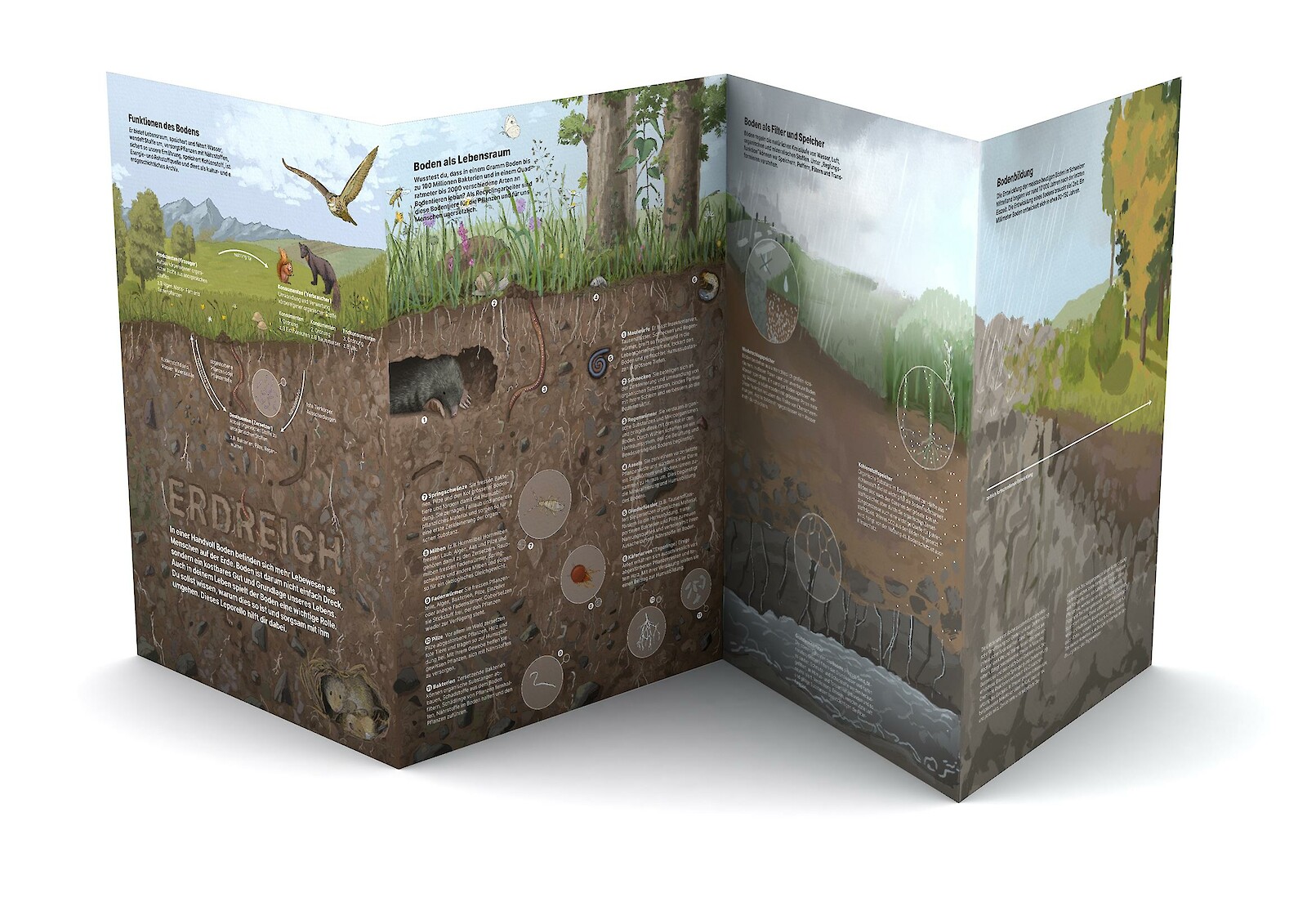 Das fertige Leporello in der Grösse A4.