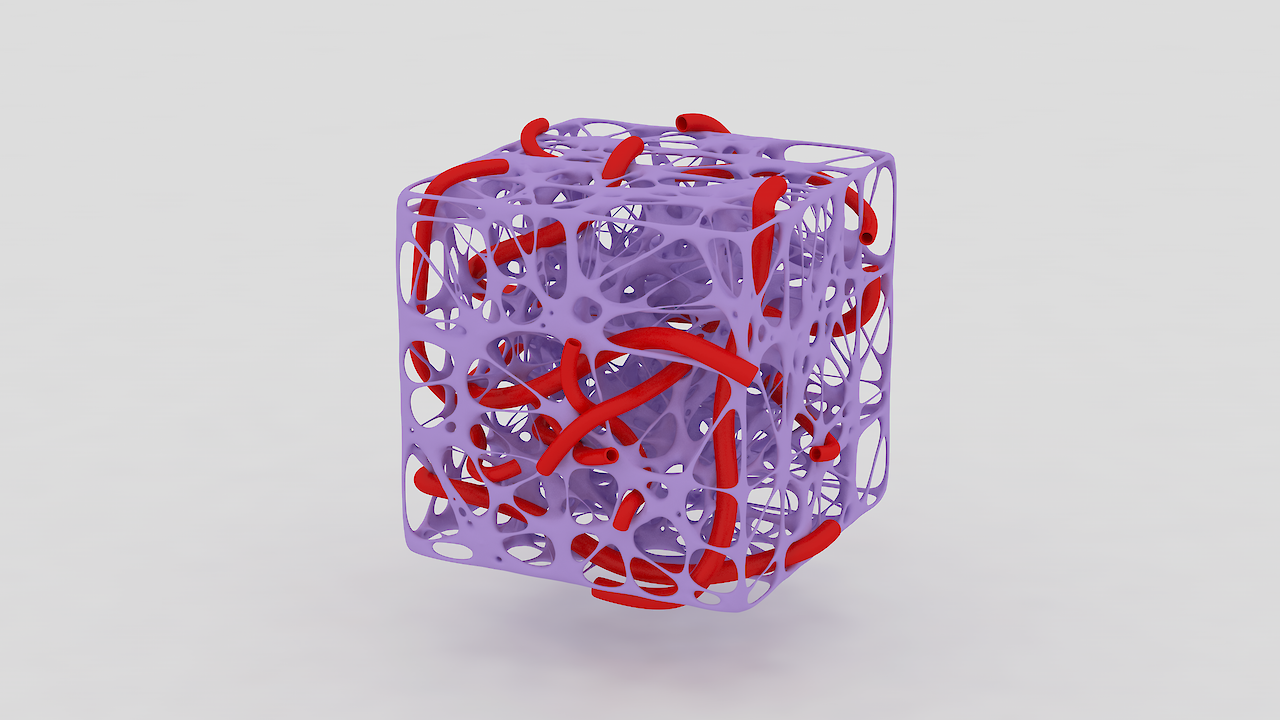 Cubic representation of extracellular matrix (ECM) and blood vessels.