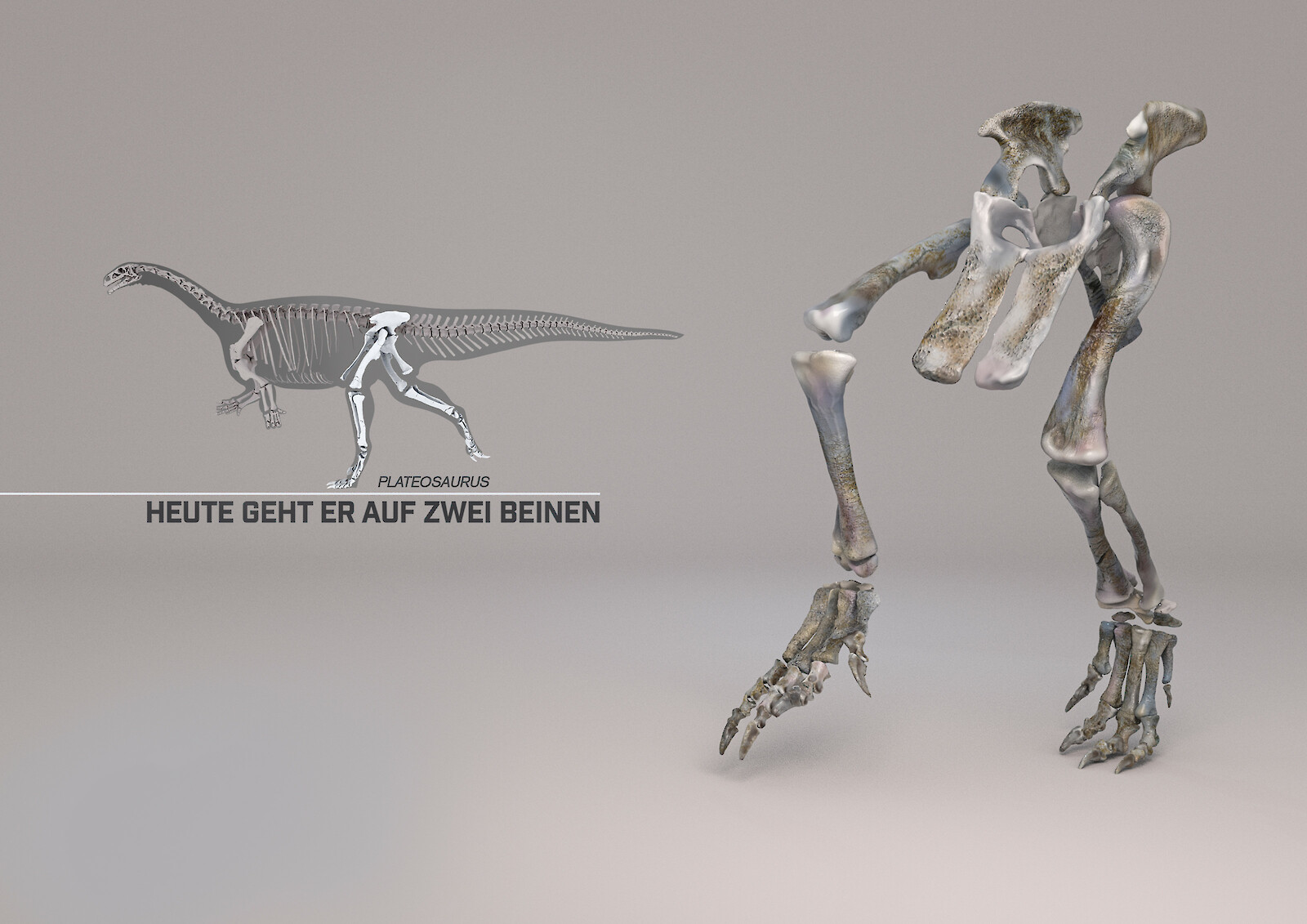 Ausschnitt aus der Bewegungsrekonstruktion.