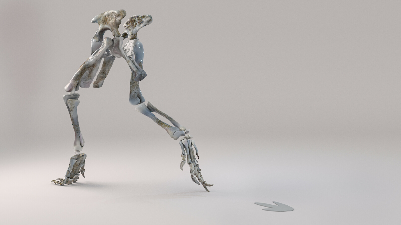 Heute geht er auf zwei Beinen