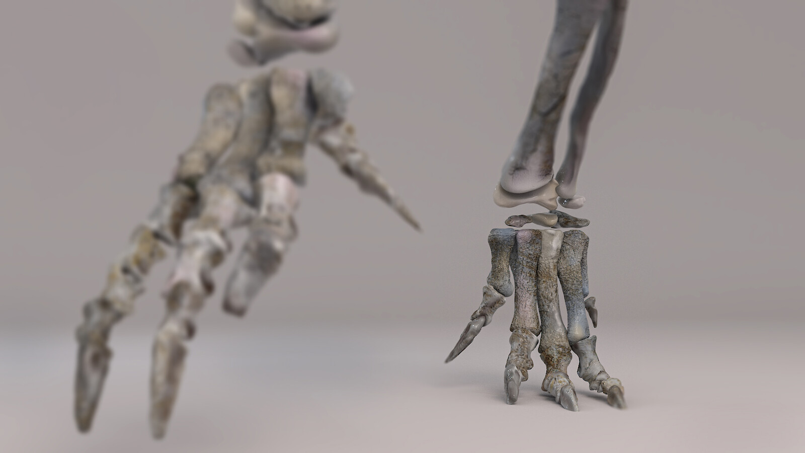 Heute geht er auf zwei Beinen