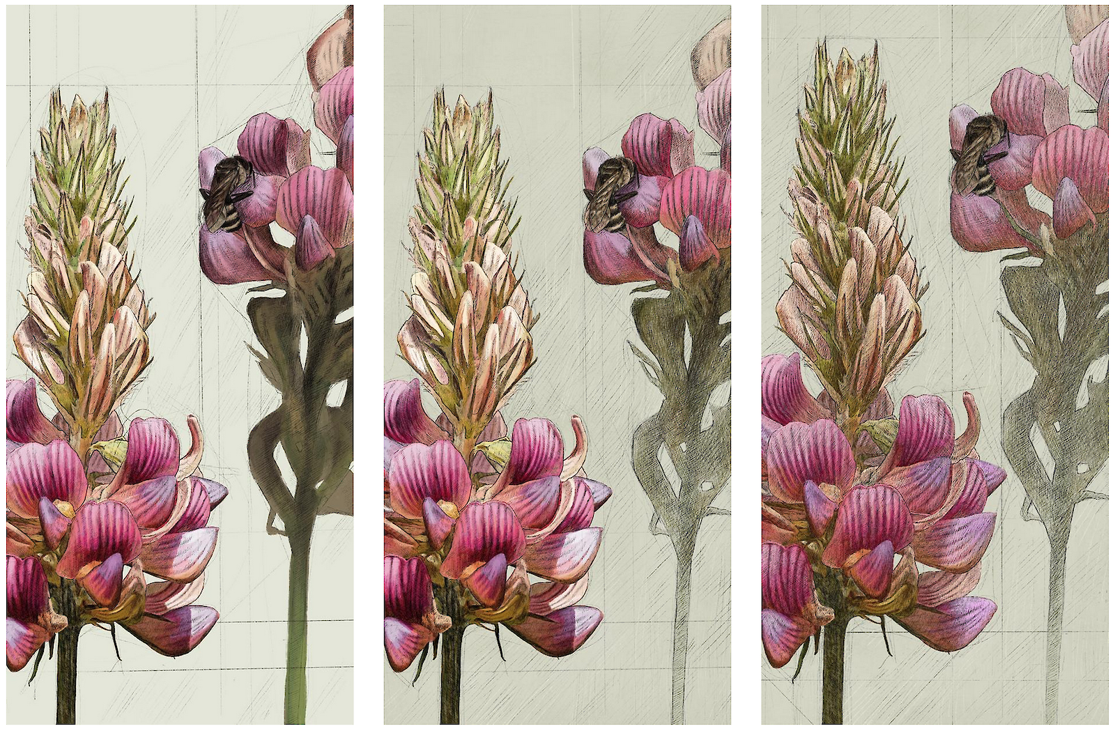 Annäherung und Varianten. Anhand der Variantenbildung können Richtungen bestimmt und Entscheidungen getroffen werden.