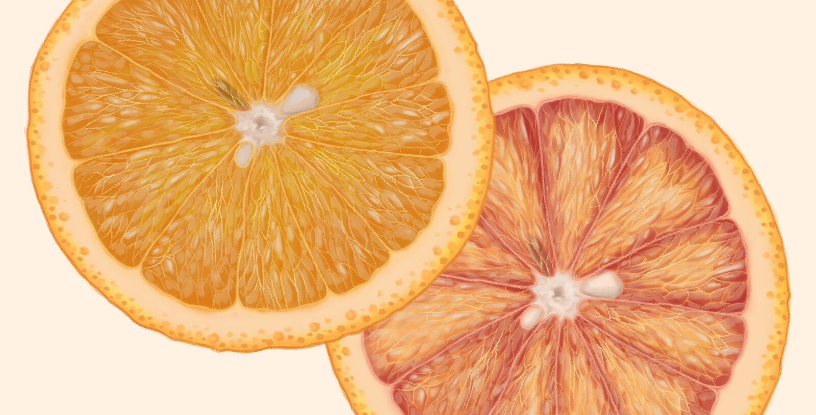 Blutorangen sind Ausprägungen, die durch TEs hervorgerufen wurden. Die Illustrationen zeigen sie im Vergleich zu den Phänotypen ohne TEs.