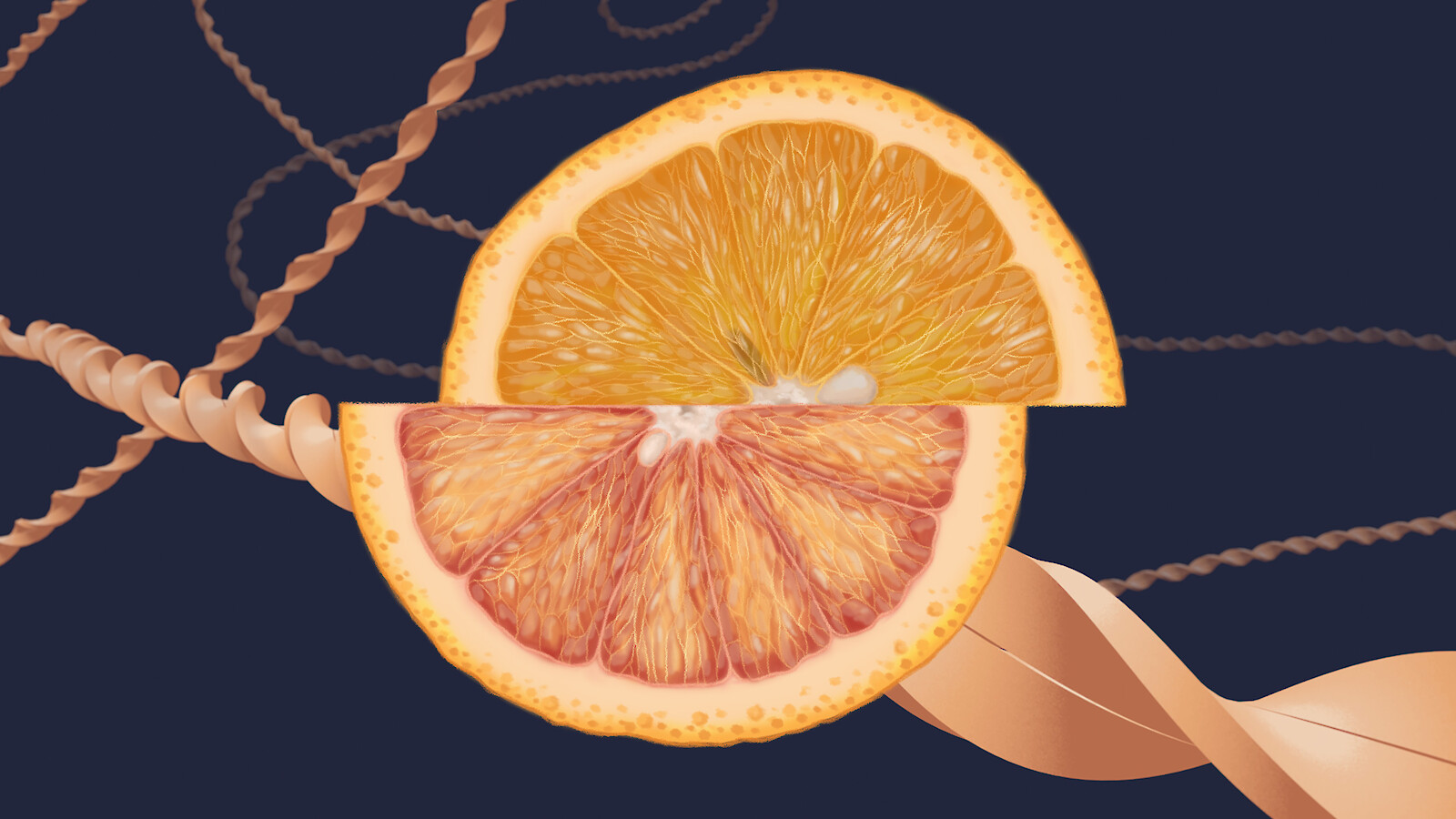 Transposable Elements