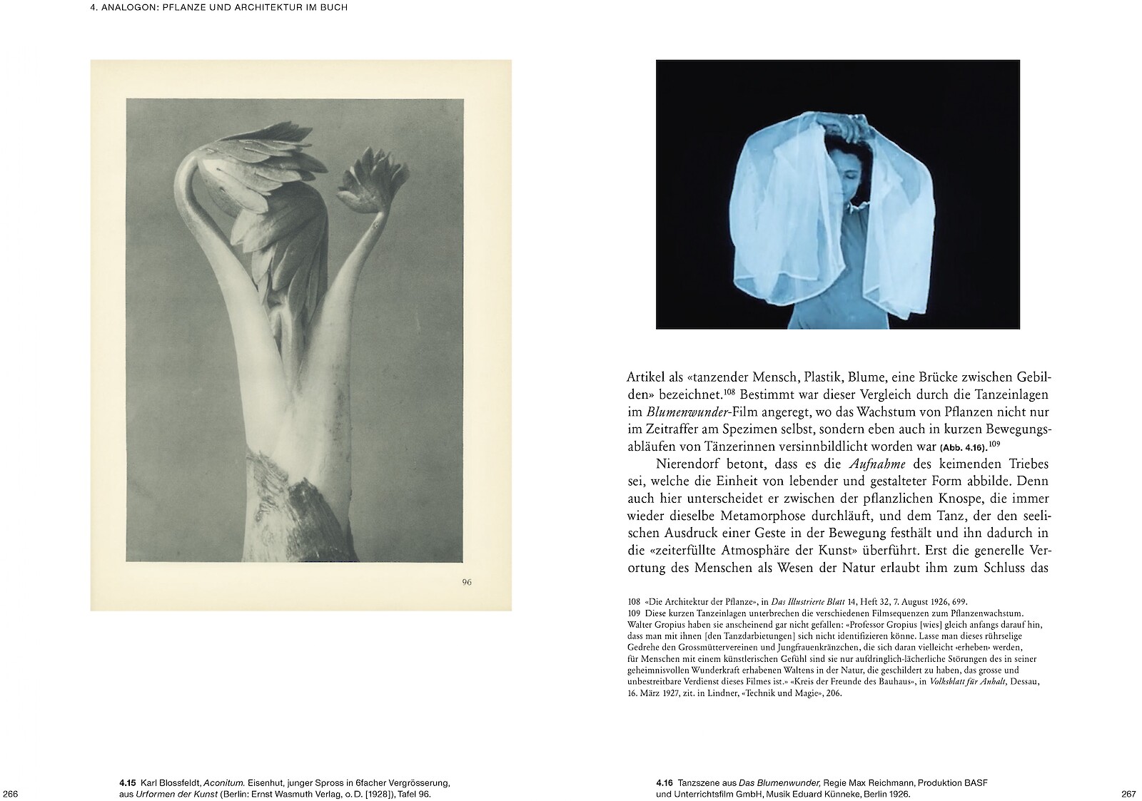 Ulrike Meyer Stump publiziert erste Karl Blossfeldt-Monografie