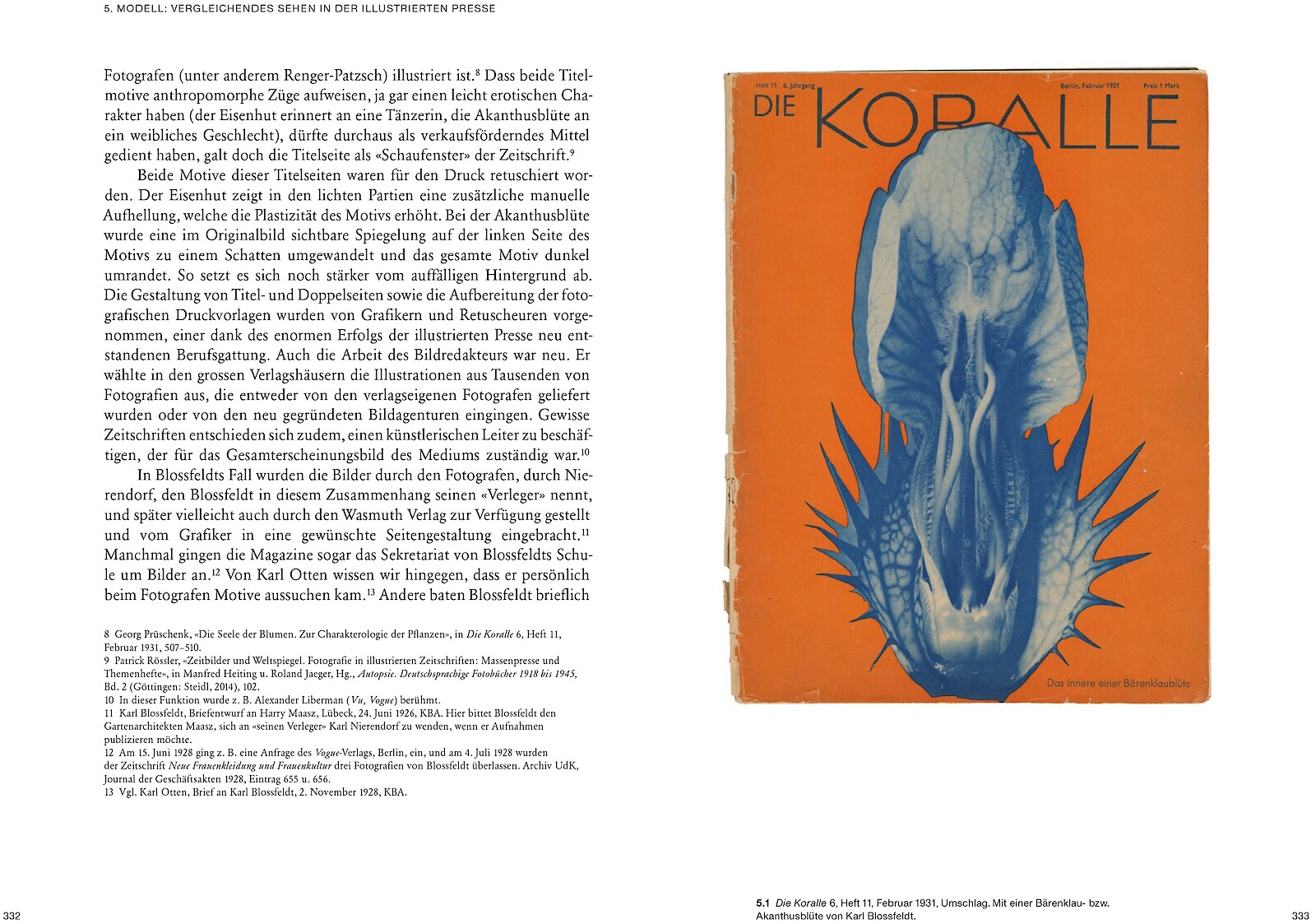 Ulrike Meyer Stump publiziert erste Karl Blossfeldt-Monografie