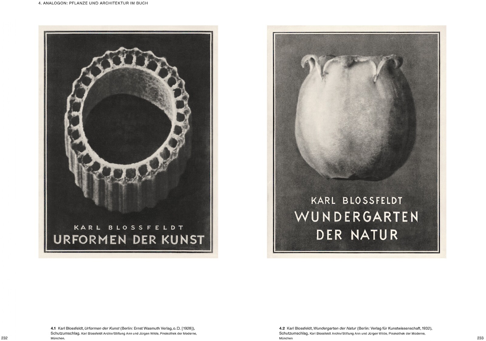 Ulrike Meyer Stump publiziert erste Karl Blossfeldt-Monografie