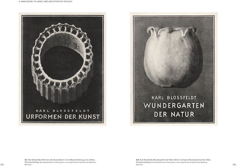 Ulrike Meyer Stump publiziert erste Karl Blossfeldt-Monografie