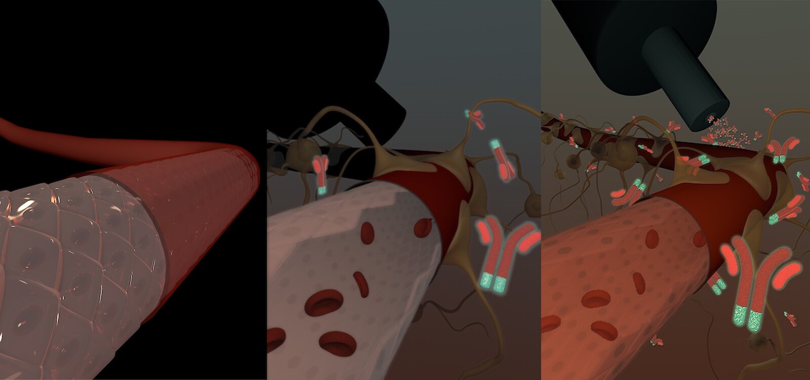 Prozessdarstellung. Selina Bachmann, 2020