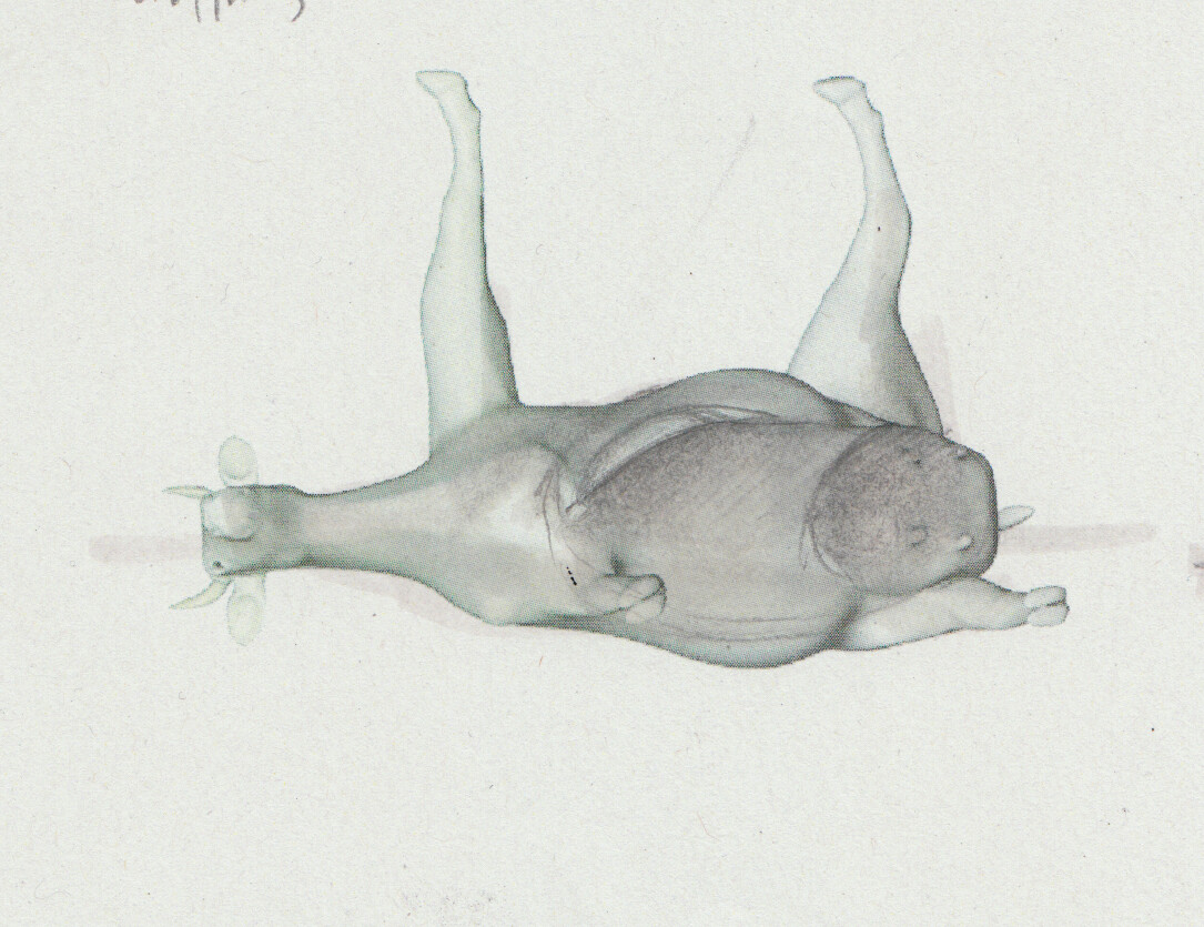 Virtuelles Erlernen der Sektion am Rind