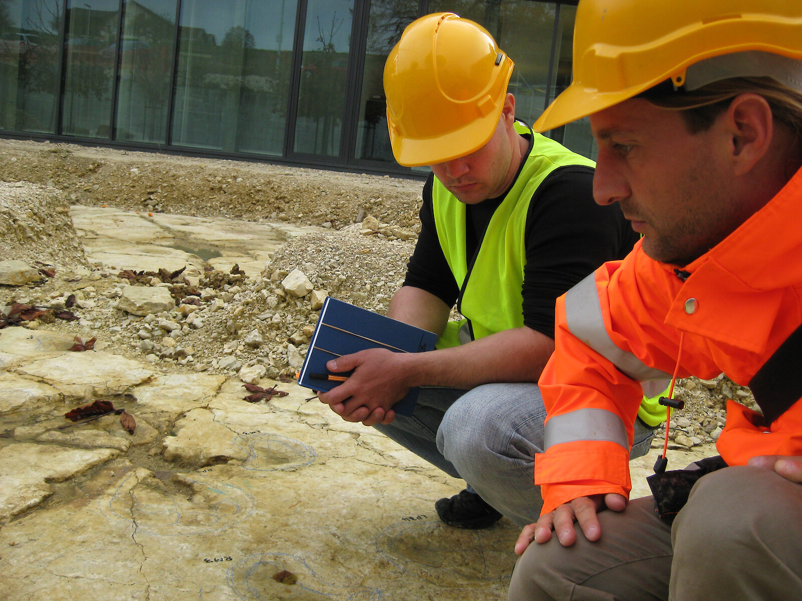 Paléoskop – den Sauriern auf der Spur