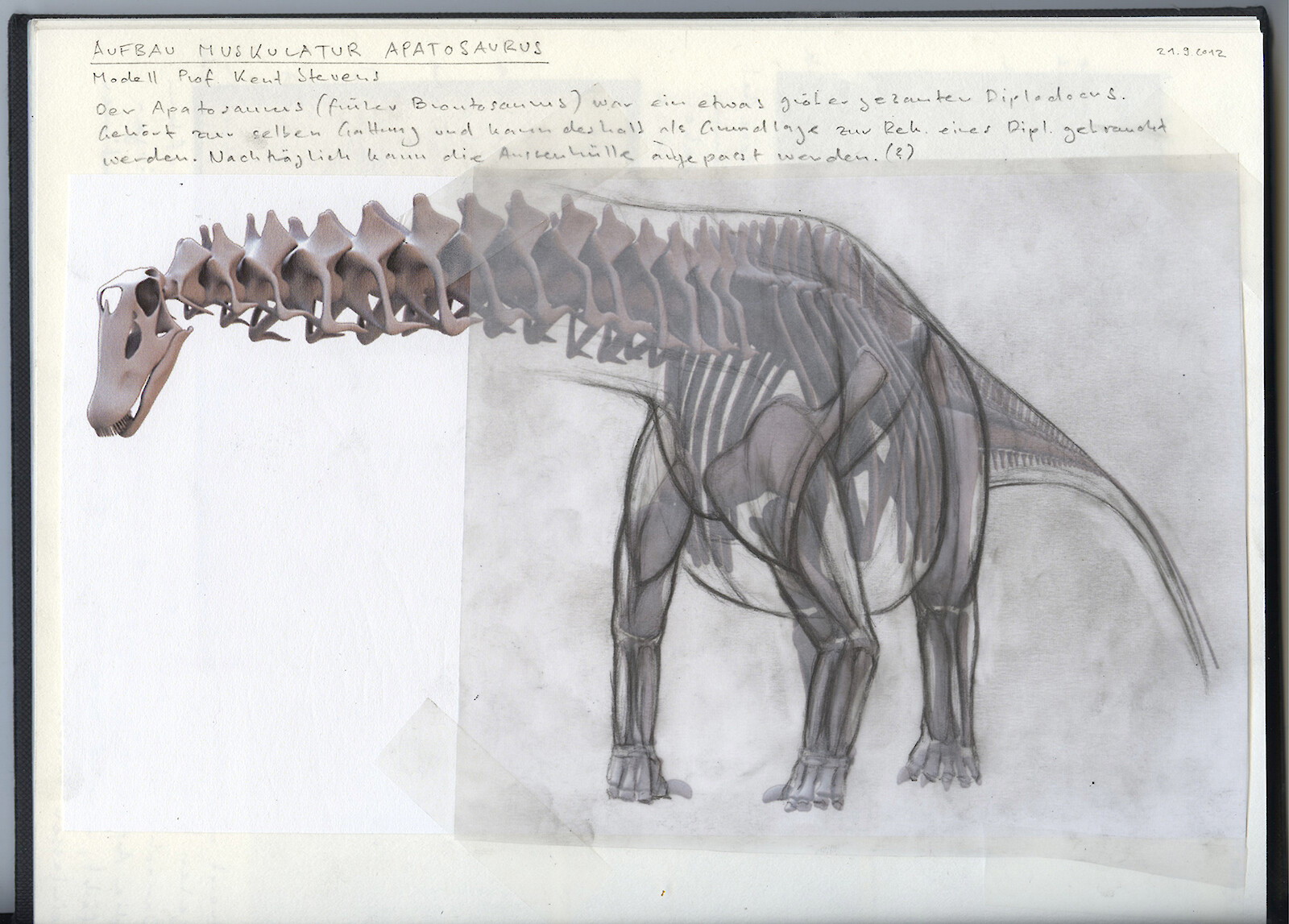 Paléoskop – den Sauriern auf der Spur