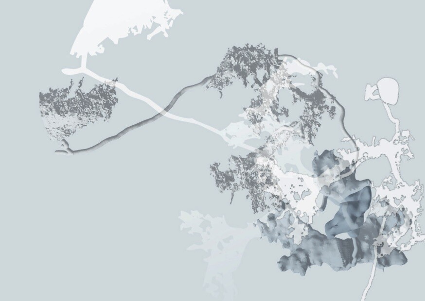 Visualisierung eines Neuronalen Atlas