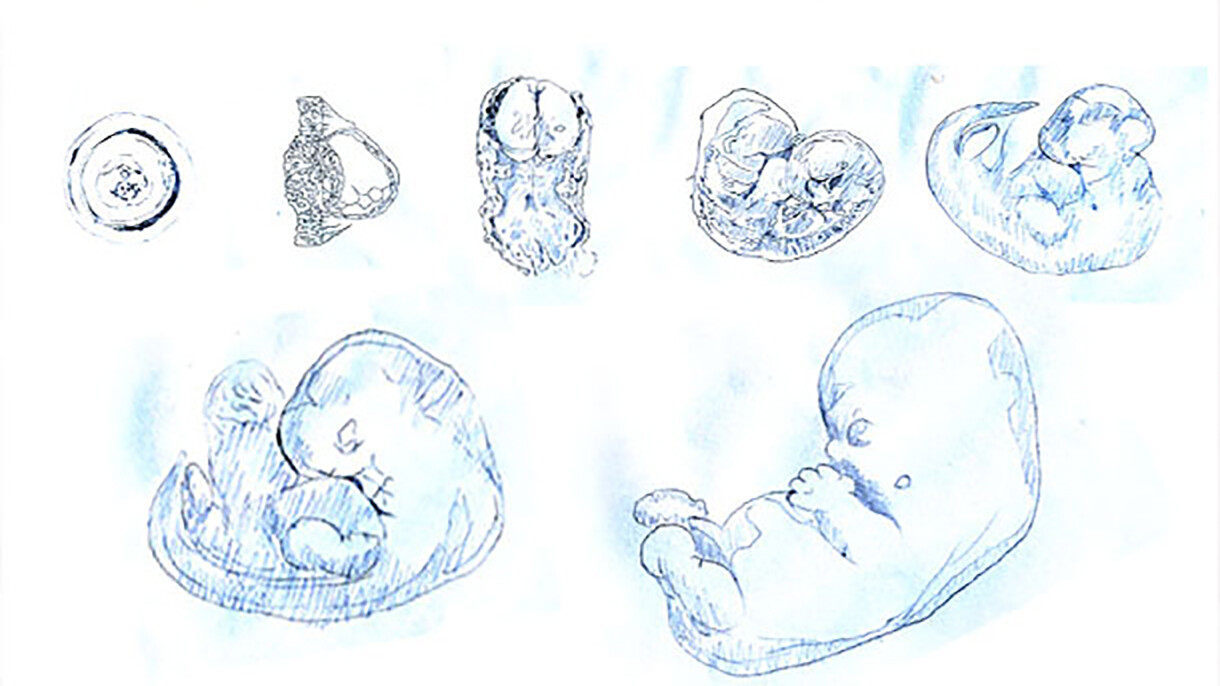 Future Baby-Labor and Birth-pregnancy