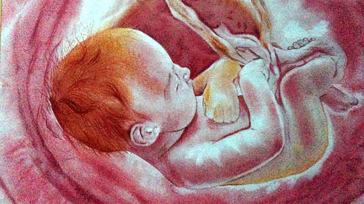 Future Baby-Labor and Birth-pregnancy