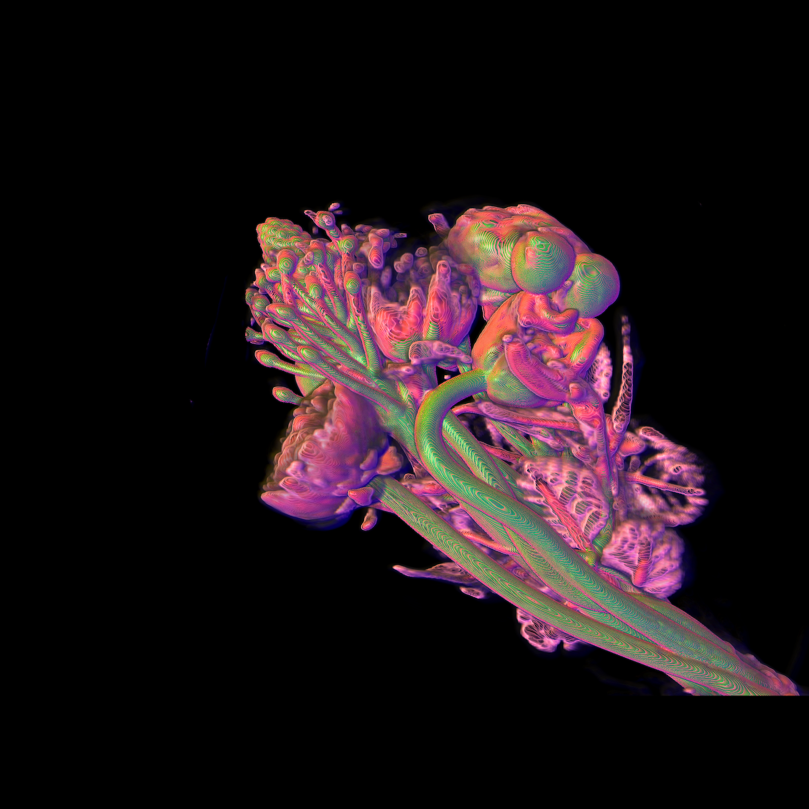 Bildgebende Verfahren