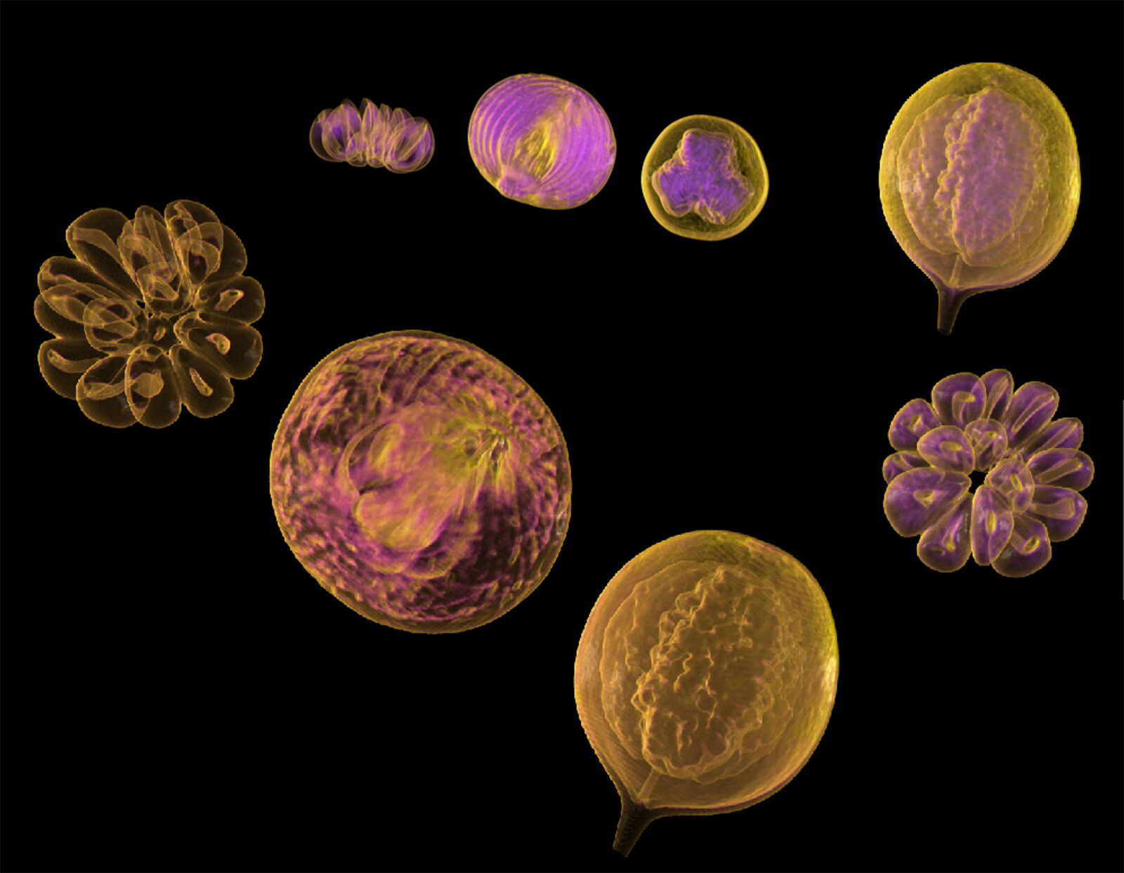 Bildgebende Verfahren