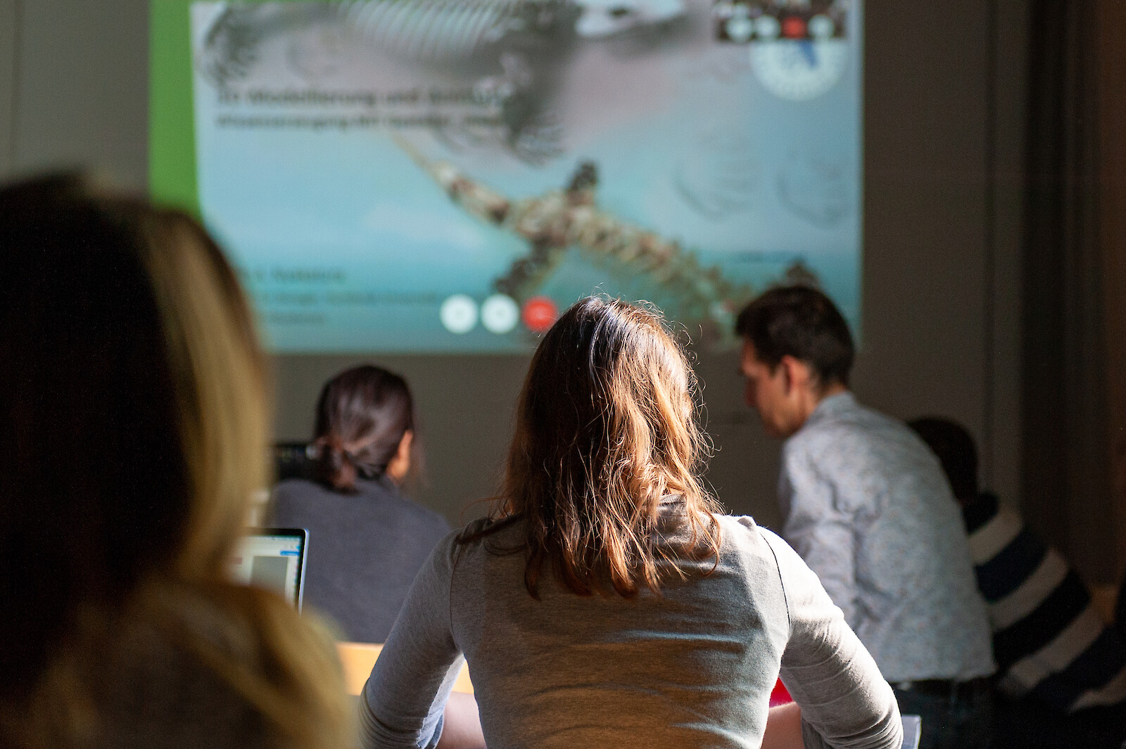 Studierende während Skype-Besprechung mit dem wissenschaftlichen Mentor