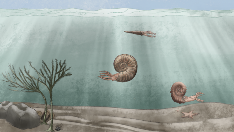 Videostill aus der Animation von Rahel Kern und Smilla Berger