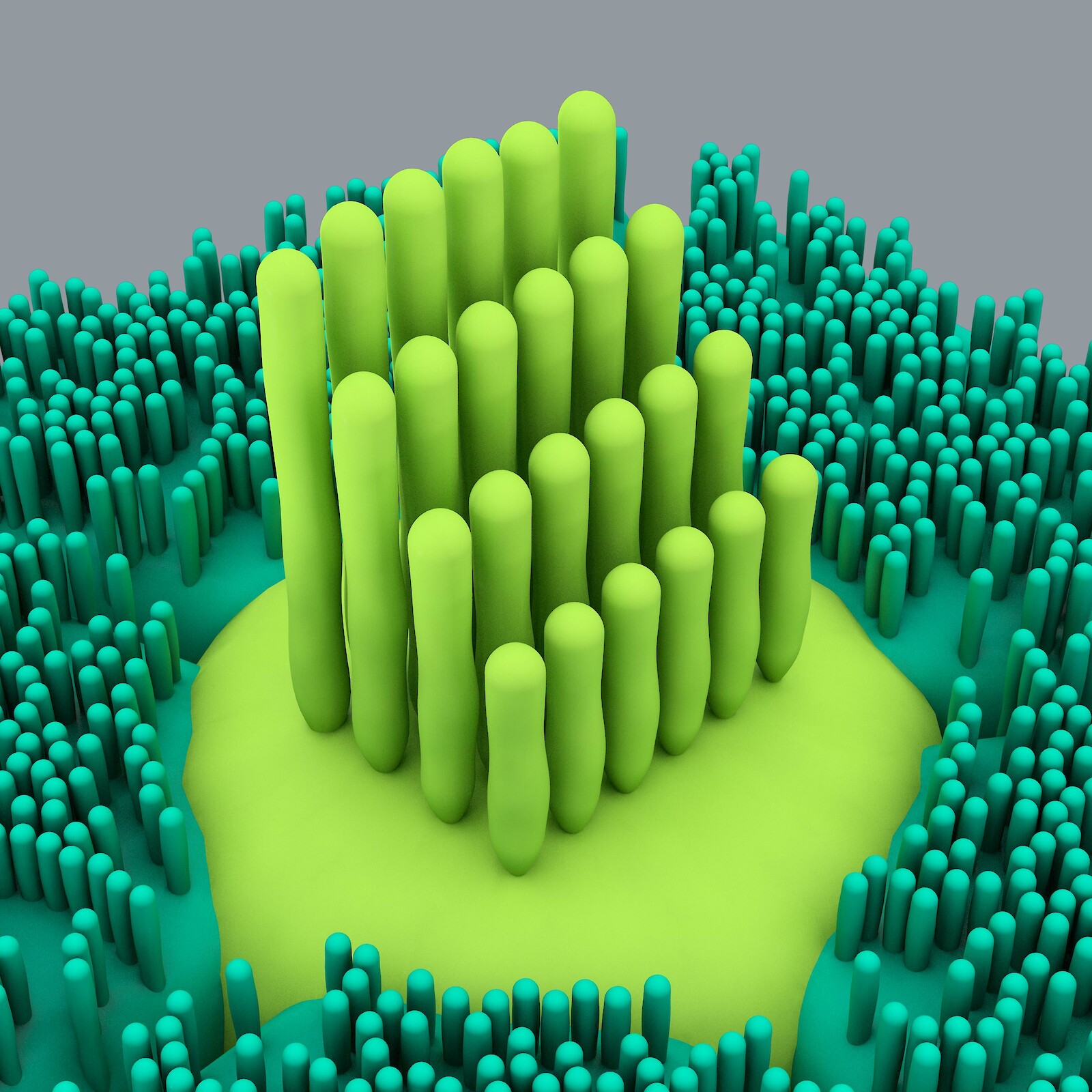 Verschiedene Ansichten eines Modells einer Haarzelle von Sonia Monti