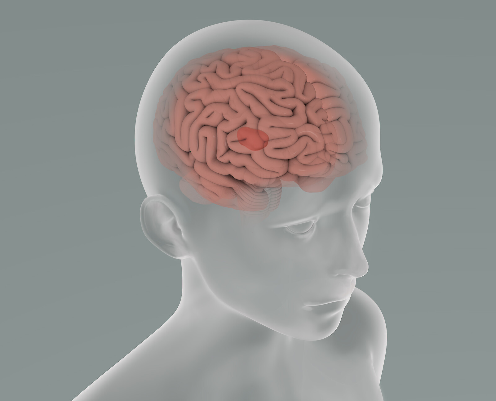 Laura Cincera: «Die Darstellungen sollen sachlich wirken, daher wurden diese abstrahiert, um eine modellhafte Wirkung zu erzeugen und den Fokus somit auf wesentliche Elemente zu beschränken.»