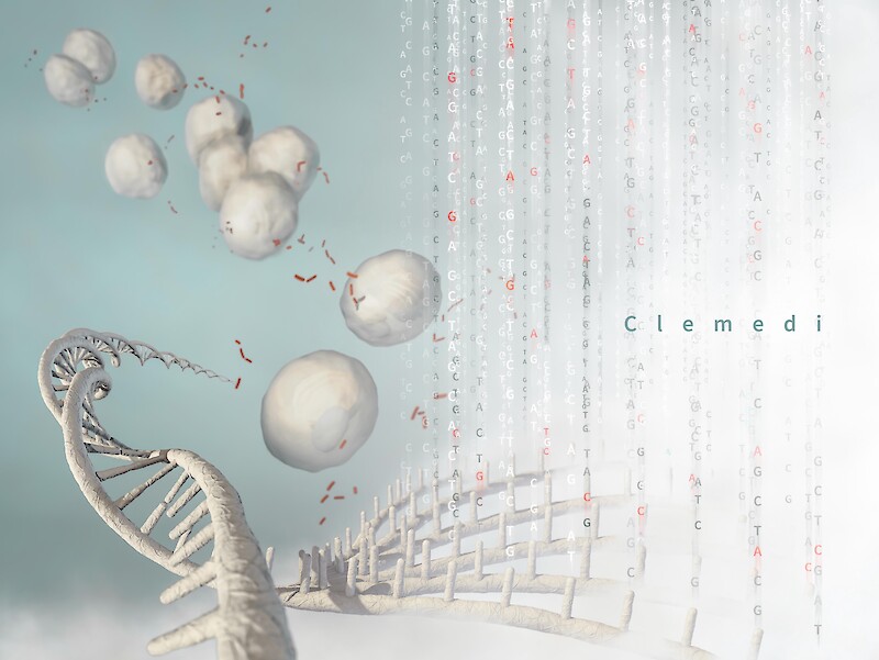 Silvan Binotto, Key-Visual der Technologie von Clémedi: «Ein ansprechendes, dynamisches Bild; muss nicht nach längerer Betrachtung schön sein sondern in der Kürze genossen werden.»