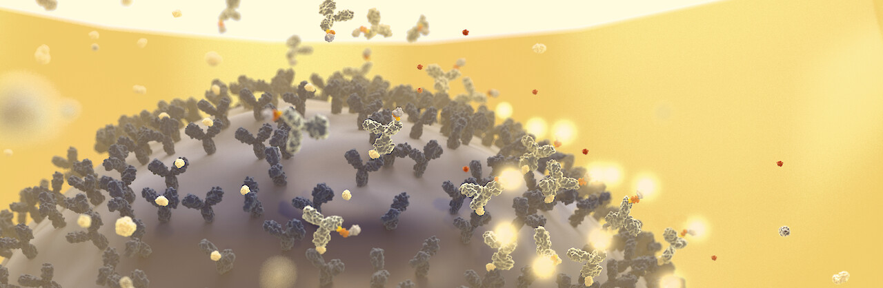 Simone Stolz: «Vom Biomarker zur Fluoreszenz; das im Proban-Test wichtige Immunassay-Prinzip wird in einem Bild visualisiert.»