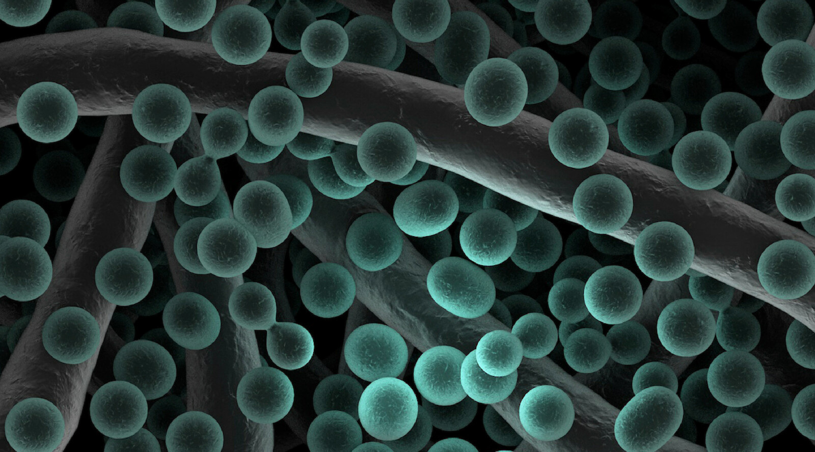 Kooperationsprojekte BioEntrepreneurship 2021