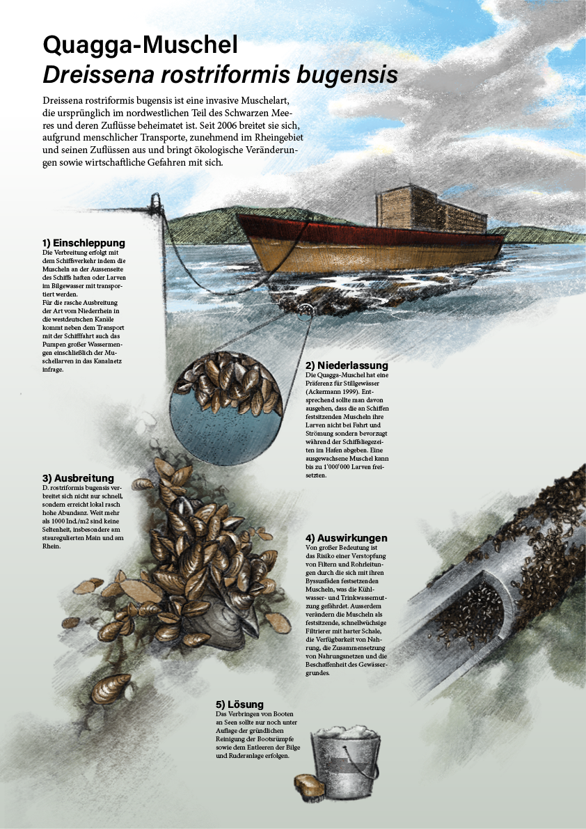 Liliane Gschwend: «Welche Bildsprachen eigenen sich für gesamtübersichtliche Abläufe in Infografiken?»
