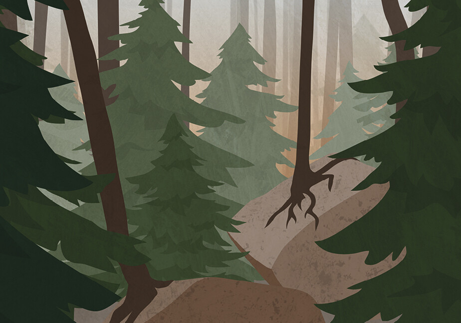 Schuttwald im Goldingertal