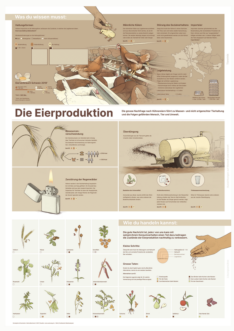 Illustratives Faltplakat Hinterseite