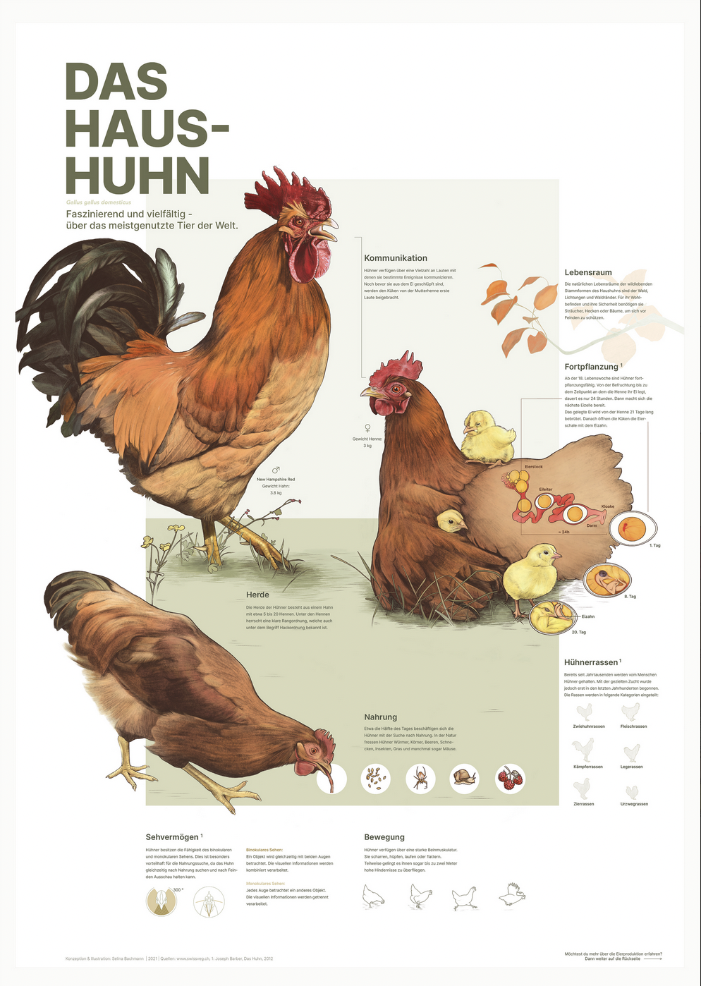 Illustratives Faltplakat Vorderseite