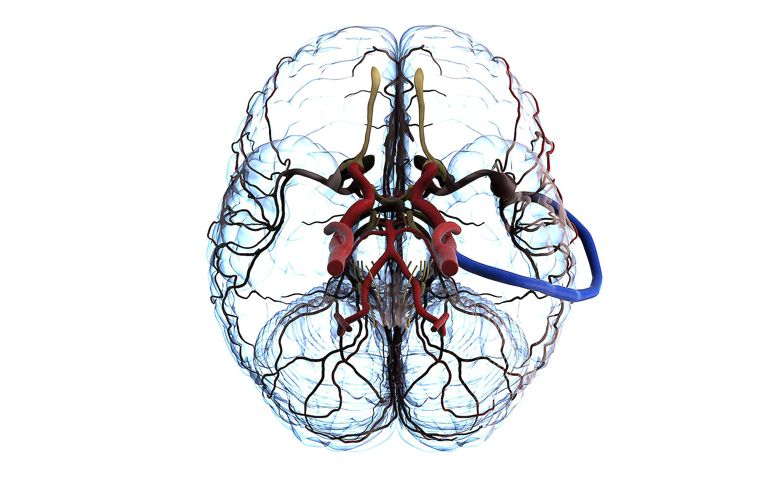Spannende Anomalien bei der Arbeit mit Cinema 4D
