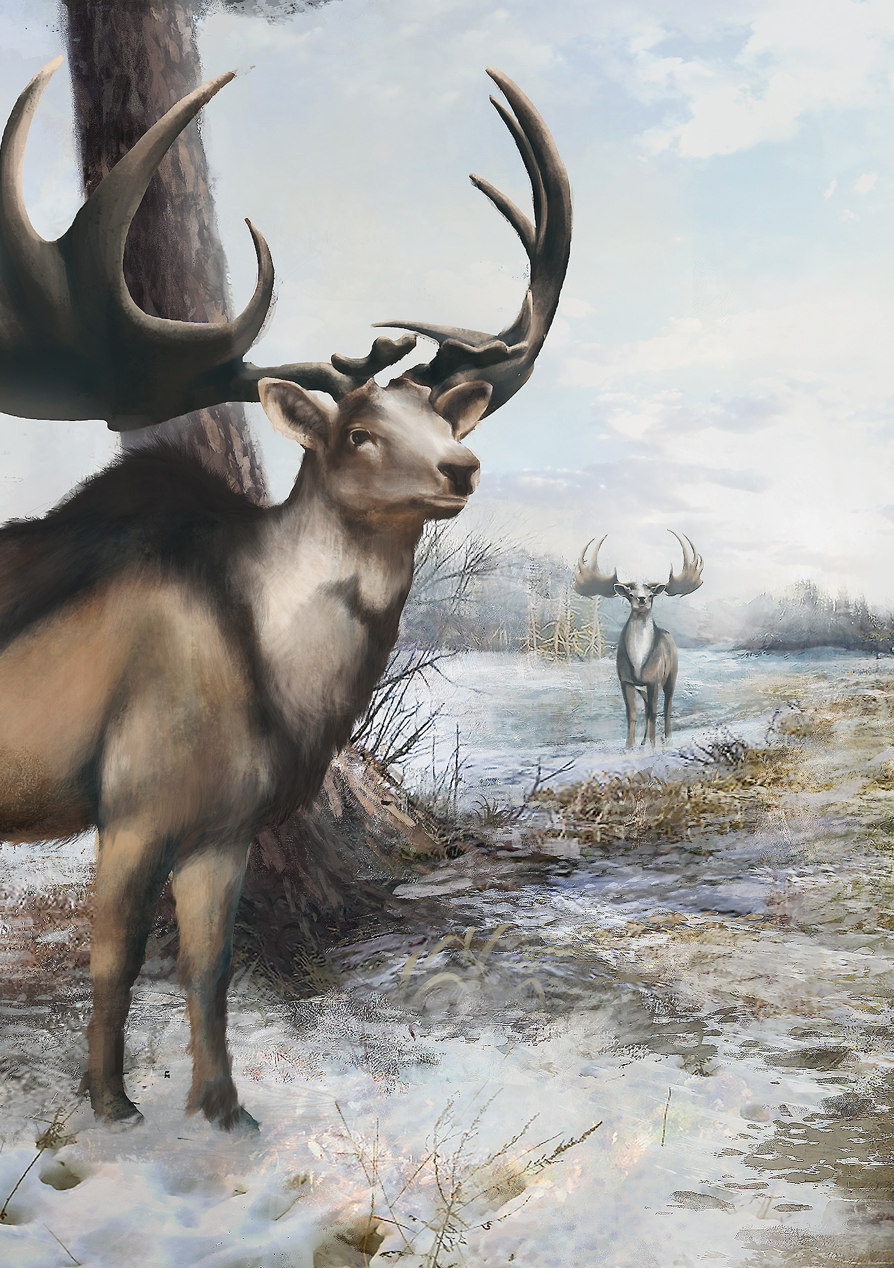 Riesenhirsch Portrait Winter