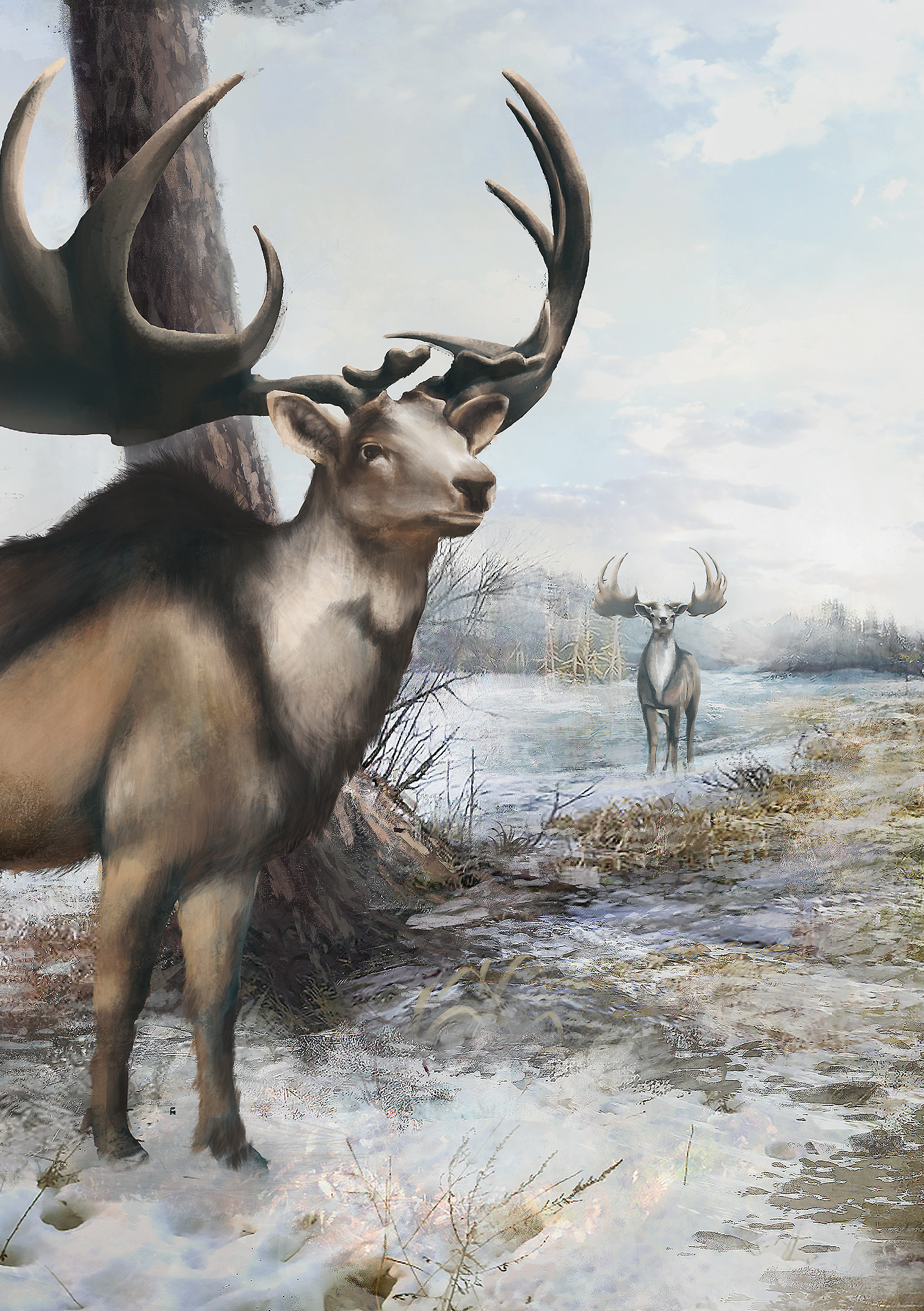 Riesenhirsch Portrait Winter
