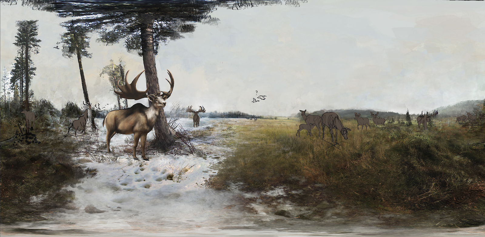 Ausschnitt aus dem 360°-Panorama "Rund-um Riesenhirsch"